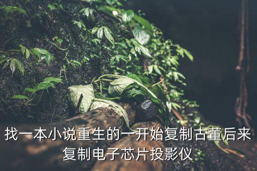 找一本小說重生的一開始復(fù)制古董后來復(fù)制電子芯片投影儀