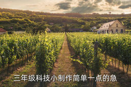 三年級科技小制作簡單一點的急