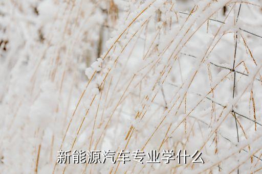 大專(zhuān)新能源專(zhuān)業(yè)學(xué)什么，新能源專(zhuān)業(yè)學(xué)什么