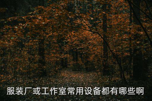服裝廠或工作室常用設(shè)備都有哪些啊