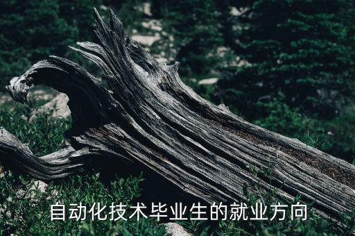 自動化技術(shù)專業(yè)就業(yè)方向，自動化技術(shù)畢業(yè)生的就業(yè)方向