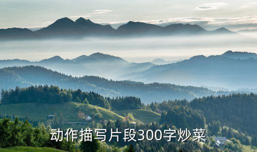 動作描寫片段300字炒菜