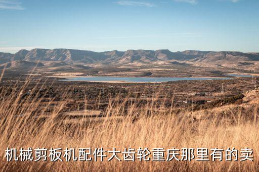 機(jī)械剪板機(jī)配件大齒輪重慶那里有的賣