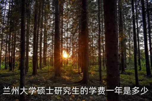 蘭州大學(xué)碩士研究生的學(xué)費(fèi)一年是多少