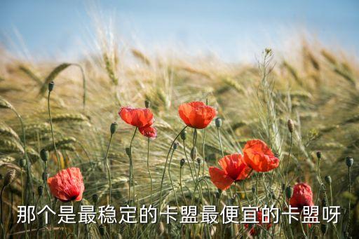 那個(gè)是最穩(wěn)定的卡盟最便宜的卡盟呀