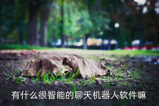 人工智能聊天機(jī)器，市場(chǎng)上有什么好用的智能對(duì)話機(jī)器人