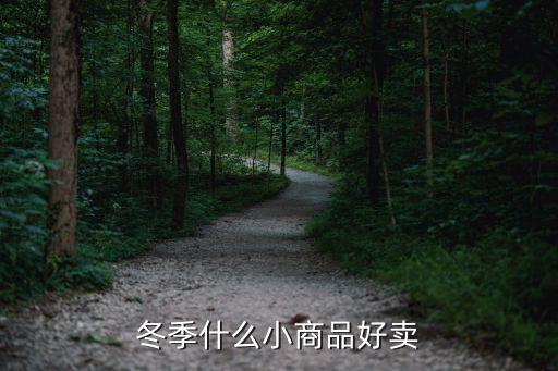 冬季什么小商品好賣