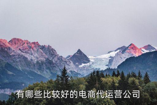 有哪些比較好的電商代運(yùn)營公司