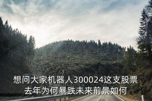 想問大家機器人300024這支股票去年為何暴跌未來前景如何
