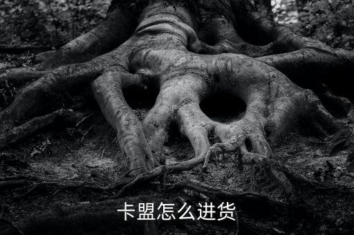 卡盟怎么進(jìn)貨