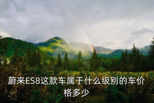 蔚來(lái)ES8這款車屬于什么級(jí)別的車價(jià)格多少