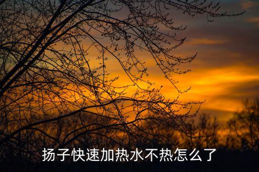 揚(yáng)子飲水機(jī)不加熱了怎么修，揚(yáng)子快速加熱水不熱怎么了