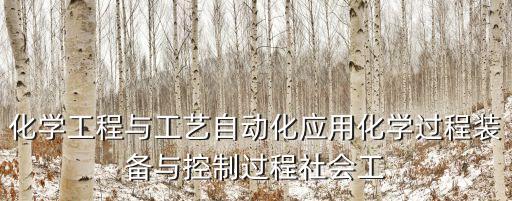 化學(xué)工程與工藝自動化應(yīng)用化學(xué)過程裝備與控制過程社會工