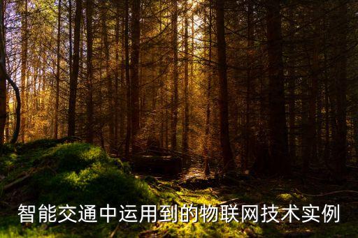 智能交通中運(yùn)用到的物聯(lián)網(wǎng)技術(shù)實例