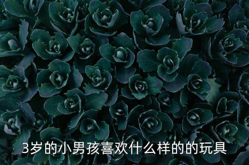 現(xiàn)在男孩流行什么玩具，現(xiàn)在一年級的小男孩喜歡什么玩具