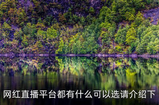 網紅服務自助平臺，想找網紅平臺但不知道網紅云商好不好求告知謝謝