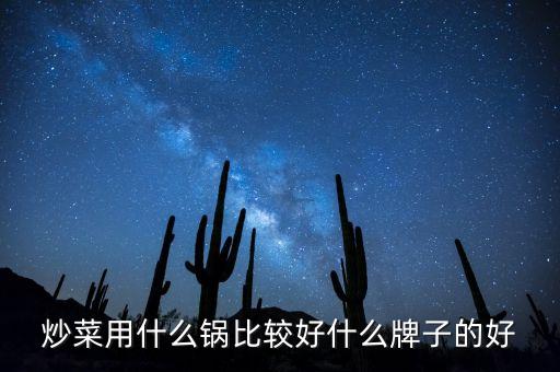 炒菜用什么鍋比較好什么牌子的好