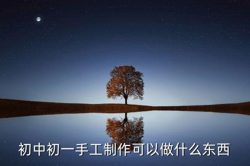 7一12歲手工，初中初一手工制作可以做什么東西