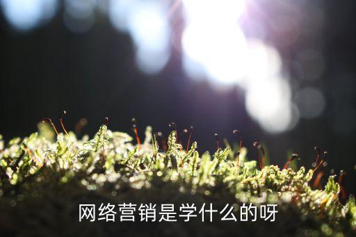 網(wǎng)絡(luò)營銷主要是學(xué)什么的，網(wǎng)絡(luò)營銷學(xué)什么