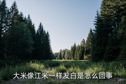 大米像江米一樣發(fā)白是怎么回事