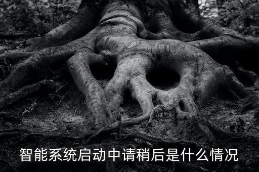 智能系統(tǒng)啟動中請稍后是什么情況