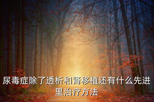尿毒癥除了透析和腎移植還有什么先進里治療方法