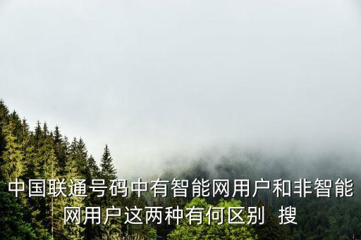 中國(guó)聯(lián)通號(hào)碼中有智能網(wǎng)用戶和非智能網(wǎng)用戶這兩種有何區(qū)別  搜