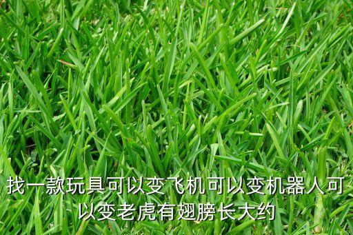 找一款玩具可以變飛機(jī)可以變機(jī)器人可以變老虎有翅膀長(zhǎng)大約