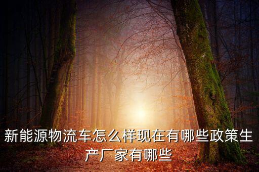 新能源物流車怎么樣現(xiàn)在有哪些政策生產(chǎn)廠家有哪些