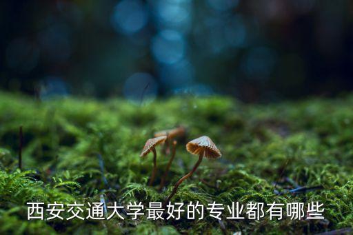 西安交大最好的四個專業(yè)，西安交通大學(xué)最好的專業(yè)是哪個