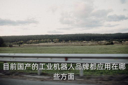 目前國產(chǎn)的工業(yè)機(jī)器人品牌都應(yīng)用在哪些方面