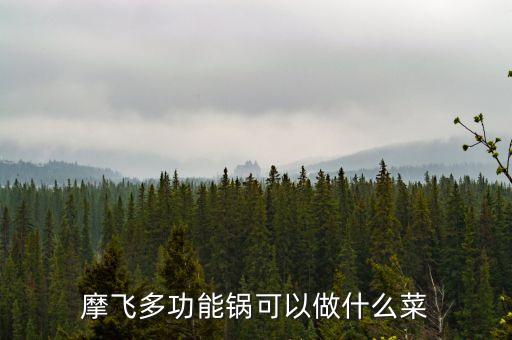 摩飛多功能鍋可以做什么菜