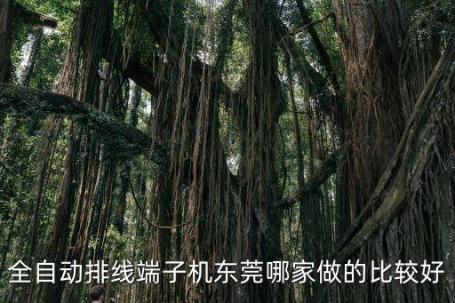 全自動排線端子機(jī)東莞哪家做的比較好