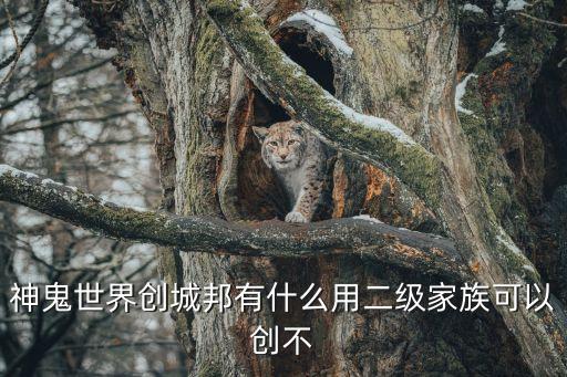 神鬼世界創(chuàng)城邦有什么用二級家族可以創(chuàng)不