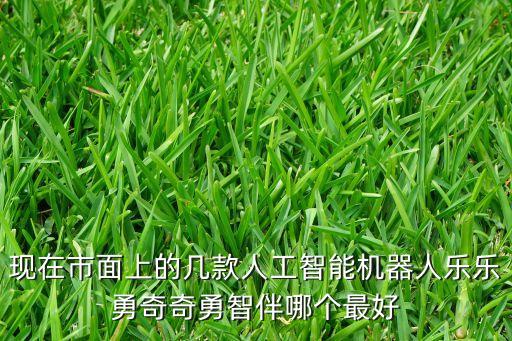 現(xiàn)在市面上的幾款人工智能機(jī)器人樂樂勇奇奇勇智伴哪個(gè)最好