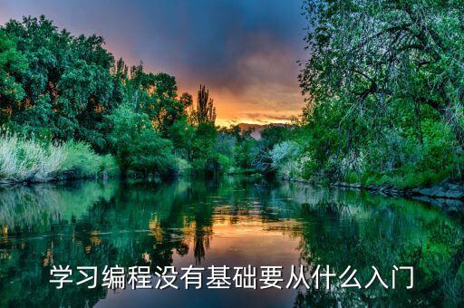 學(xué)習編程沒有基礎(chǔ)要從什么入門