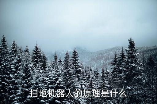 掃地機(jī)器人自動化，吸塵器和全自動機(jī)器人掃地機(jī)哪個(gè)好