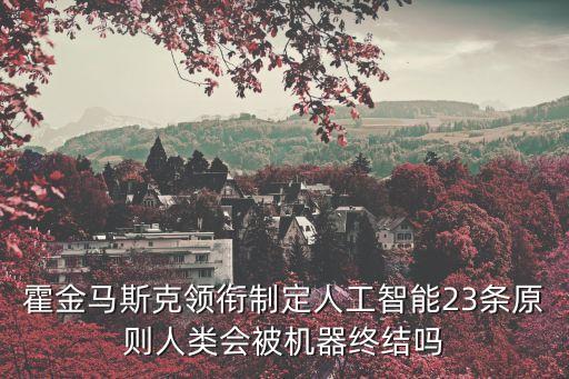 馬斯克智能機器人，霍金馬斯克領(lǐng)銜制定人工智能23條原則人類會被機器終結(jié)嗎