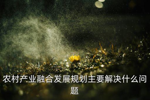 農(nóng)村產(chǎn)業(yè)融合發(fā)展規(guī)劃主要解決什么問題