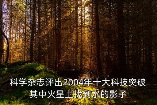 十大技術(shù)突破，科學(xué)雜志評出2004年十大科技突破其中火星上找到水的影子