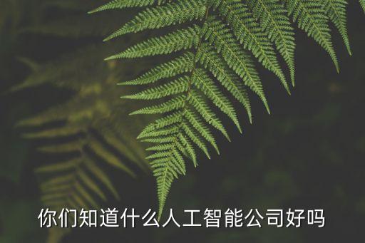 你們知道什么人工智能公司好嗎