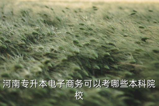 河南專升本電子商務(wù)可以考哪些本科院校