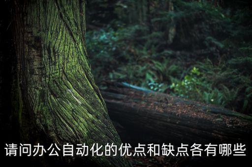 請問辦公自動化的優(yōu)點(diǎn)和缺點(diǎn)各有哪些