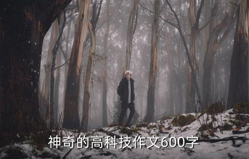 神奇的高科技作文600字