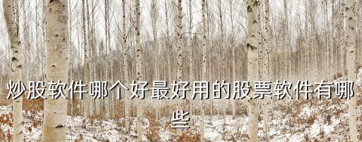炒股軟件哪個好最好用的股票軟件有哪些