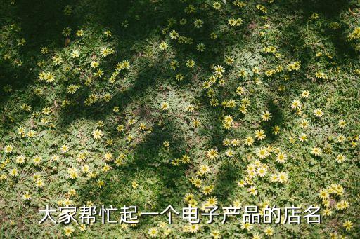 好聽的電子產(chǎn)品店名字大全，取店名關(guān)于電子的