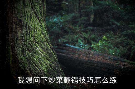 我想問下炒菜翻鍋技巧怎么練