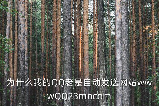 為什么我的QQ老是自動發(fā)送網(wǎng)站wwwQQ23mncom