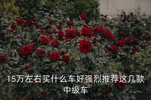 15萬左右買什么車好強(qiáng)烈推薦這幾款中級(jí)車