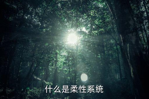 什么是柔性系統(tǒng)